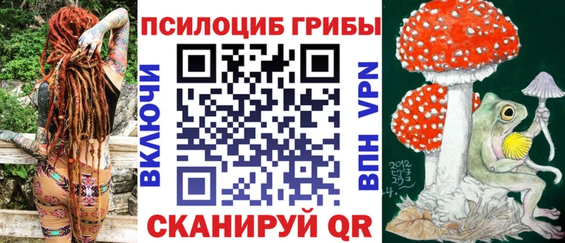 Купить закладки  Кашин  Галлюциногенные грибы MAGIC MUSHROOMS 